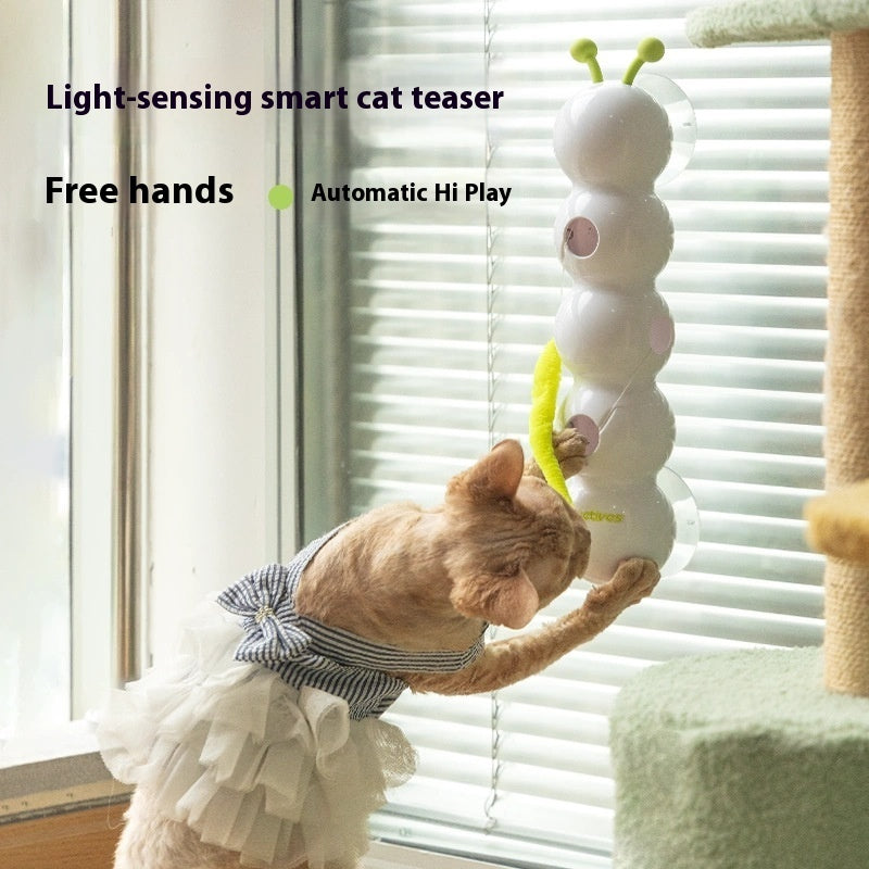 Keep Your Cat Entertained for Hours, Hands-Free!