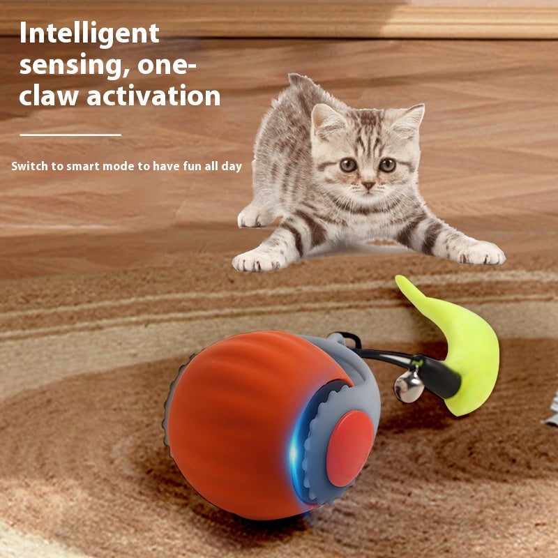 Watch Your Cat's Joy with This Automatic Roller Ball.