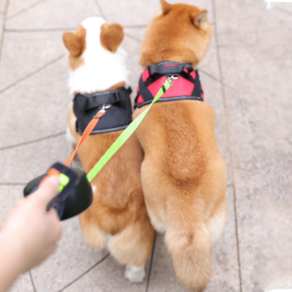 Double the Fun, Double the Control on Walks.