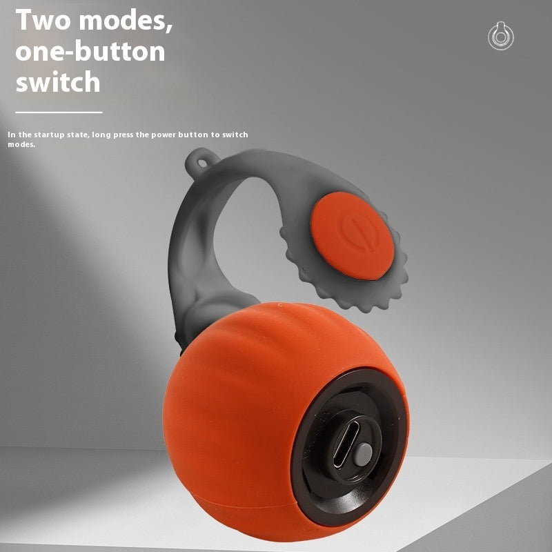 Watch Your Cat's Joy with This Automatic Roller Ball.