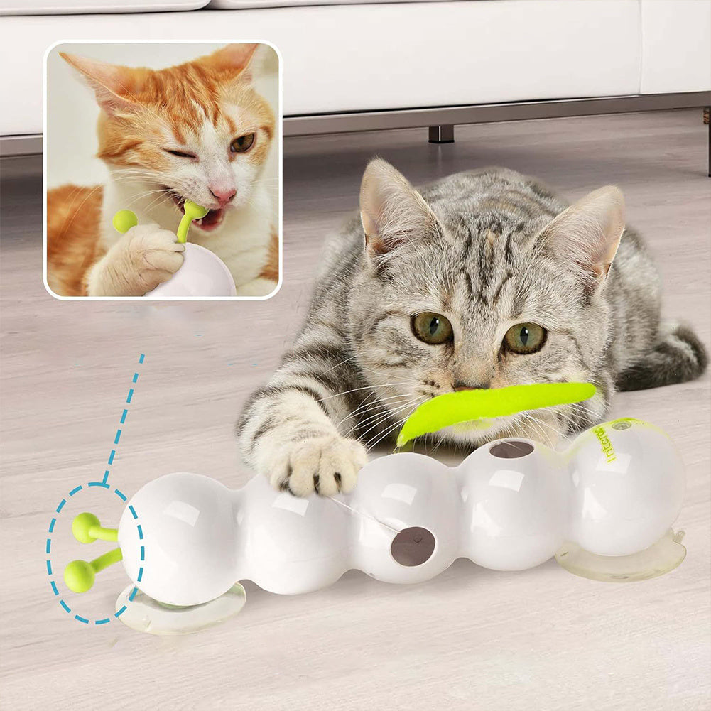 Keep Your Cat Entertained for Hours, Hands-Free!