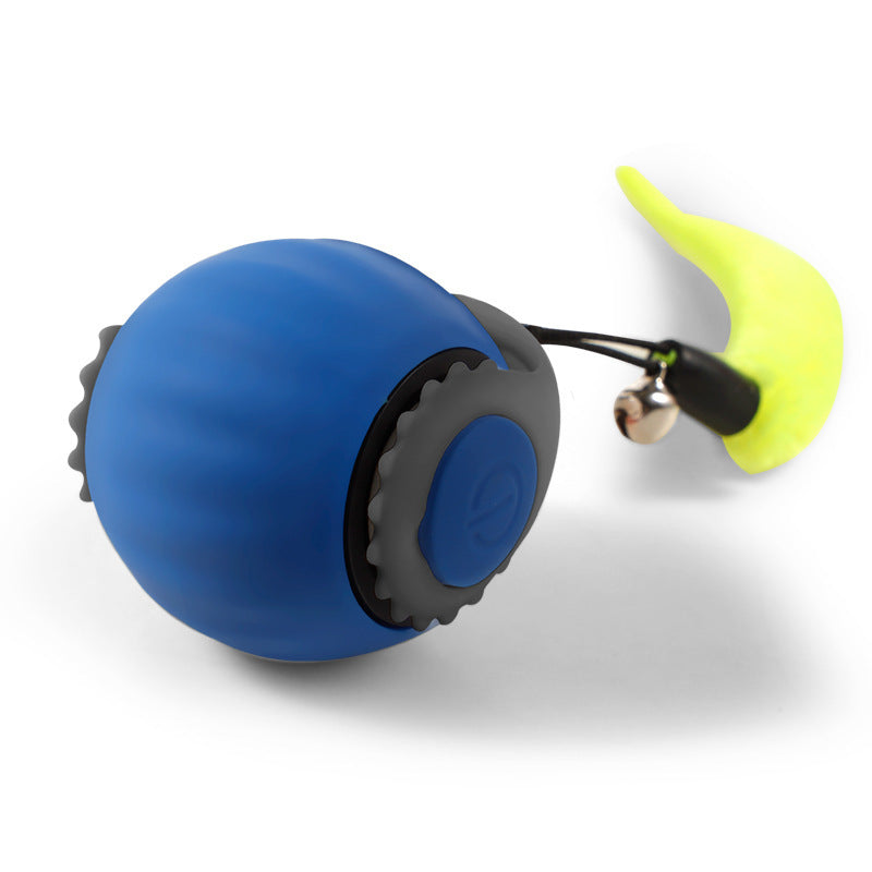 Watch Your Cat's Joy with This Automatic Roller Ball.
