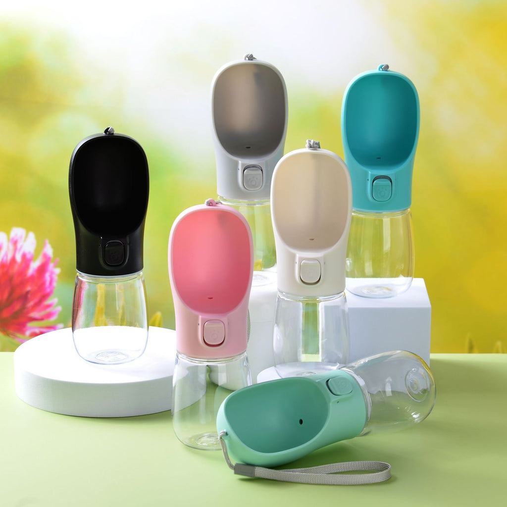 Never Be Without Water On Your Walks Again!