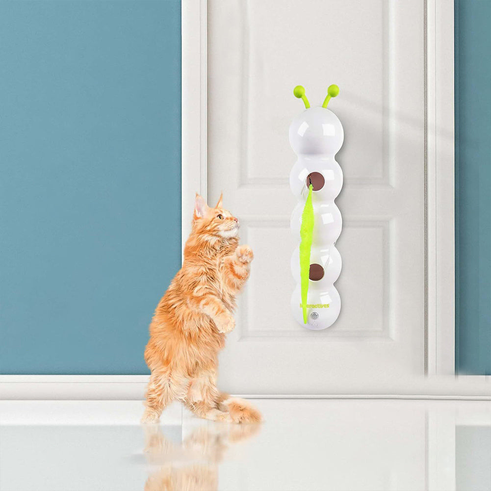Keep Your Cat Entertained for Hours, Hands-Free!