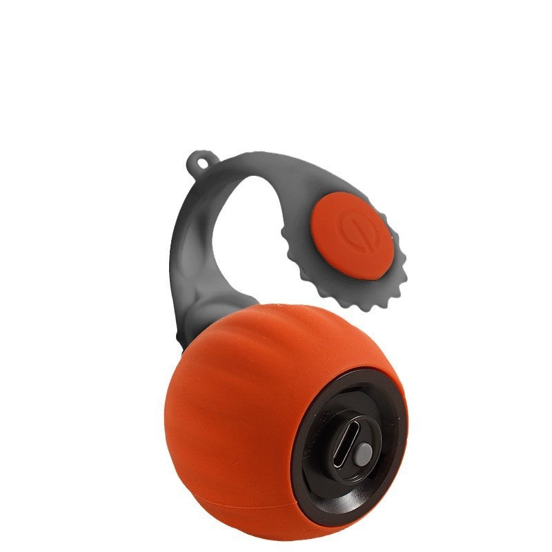 Watch Your Cat's Joy with This Automatic Roller Ball.