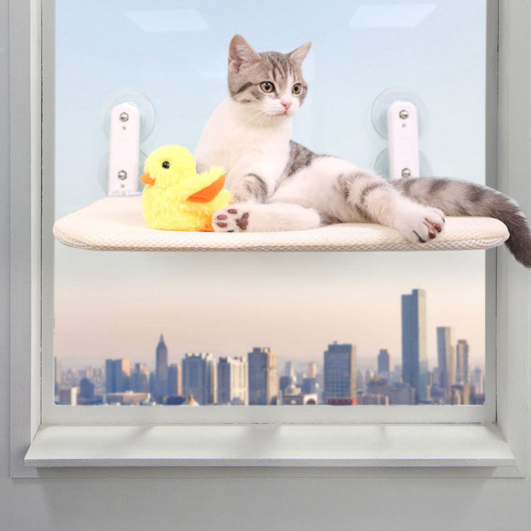 Give Your Kitty The View They Deserve!