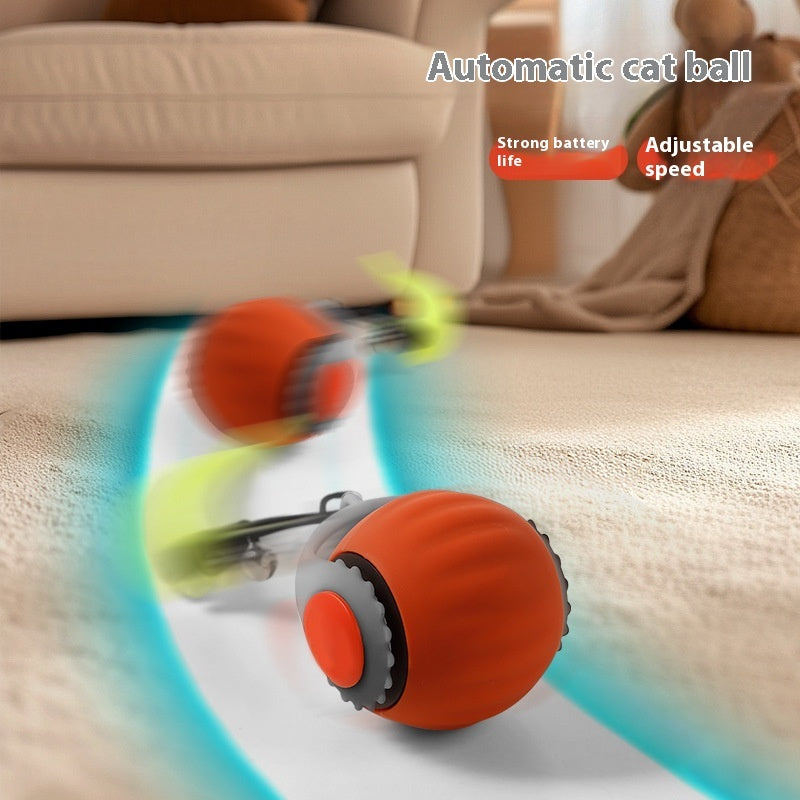 Watch Your Cat's Joy with This Automatic Roller Ball.