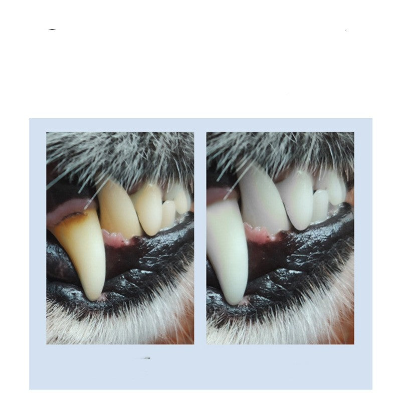 Sprinkle On Dental Health They'll Actually Love.