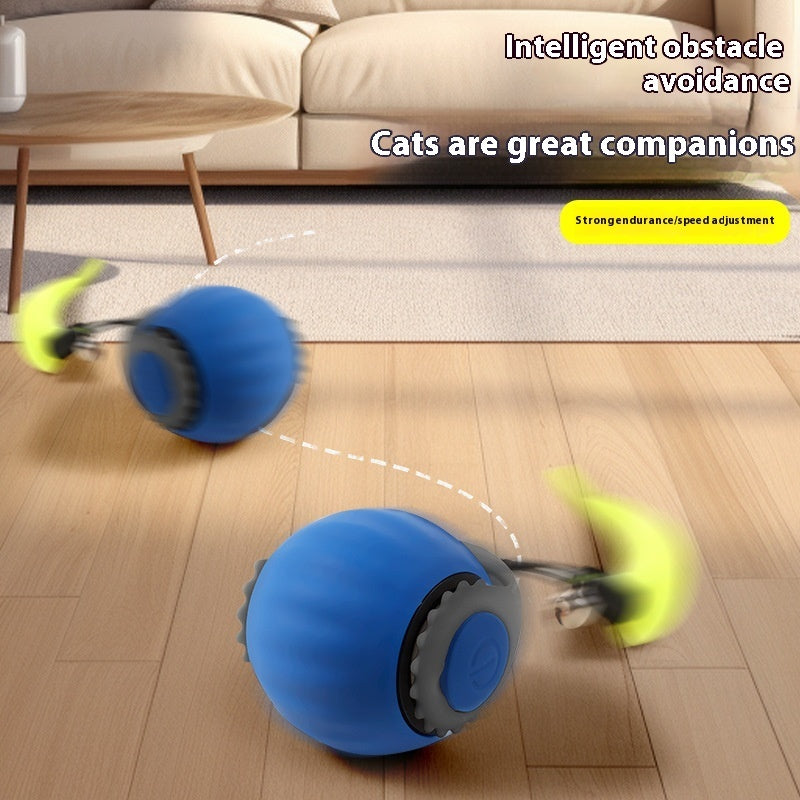Watch Your Cat's Joy with This Automatic Roller Ball.