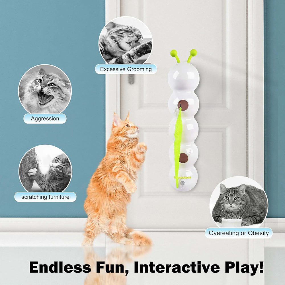 Keep Your Cat Entertained for Hours, Hands-Free!