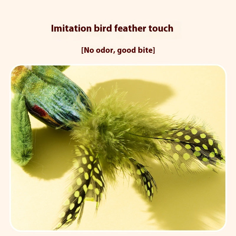 Chirping Fun! The Electric Bird Teaser for Cats.