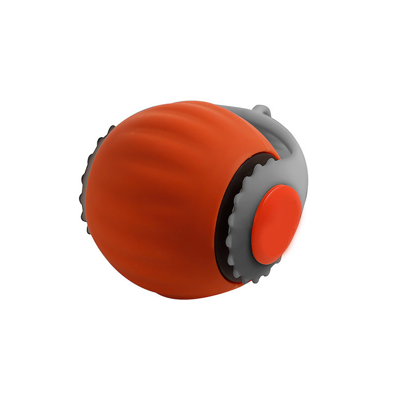 Watch Your Cat's Joy with This Automatic Roller Ball.