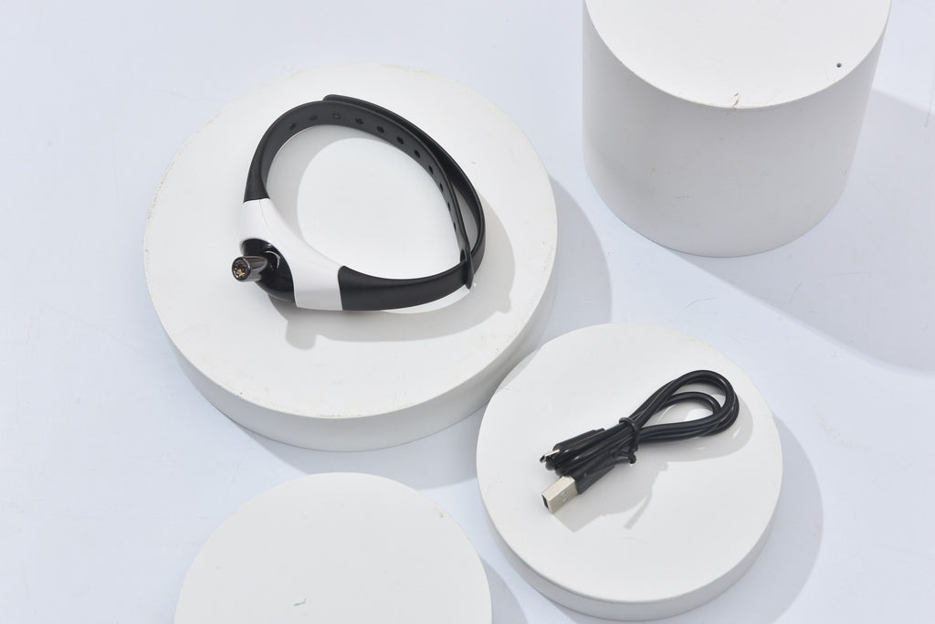 Endless Fun with This Purr-fect Laser Collar!