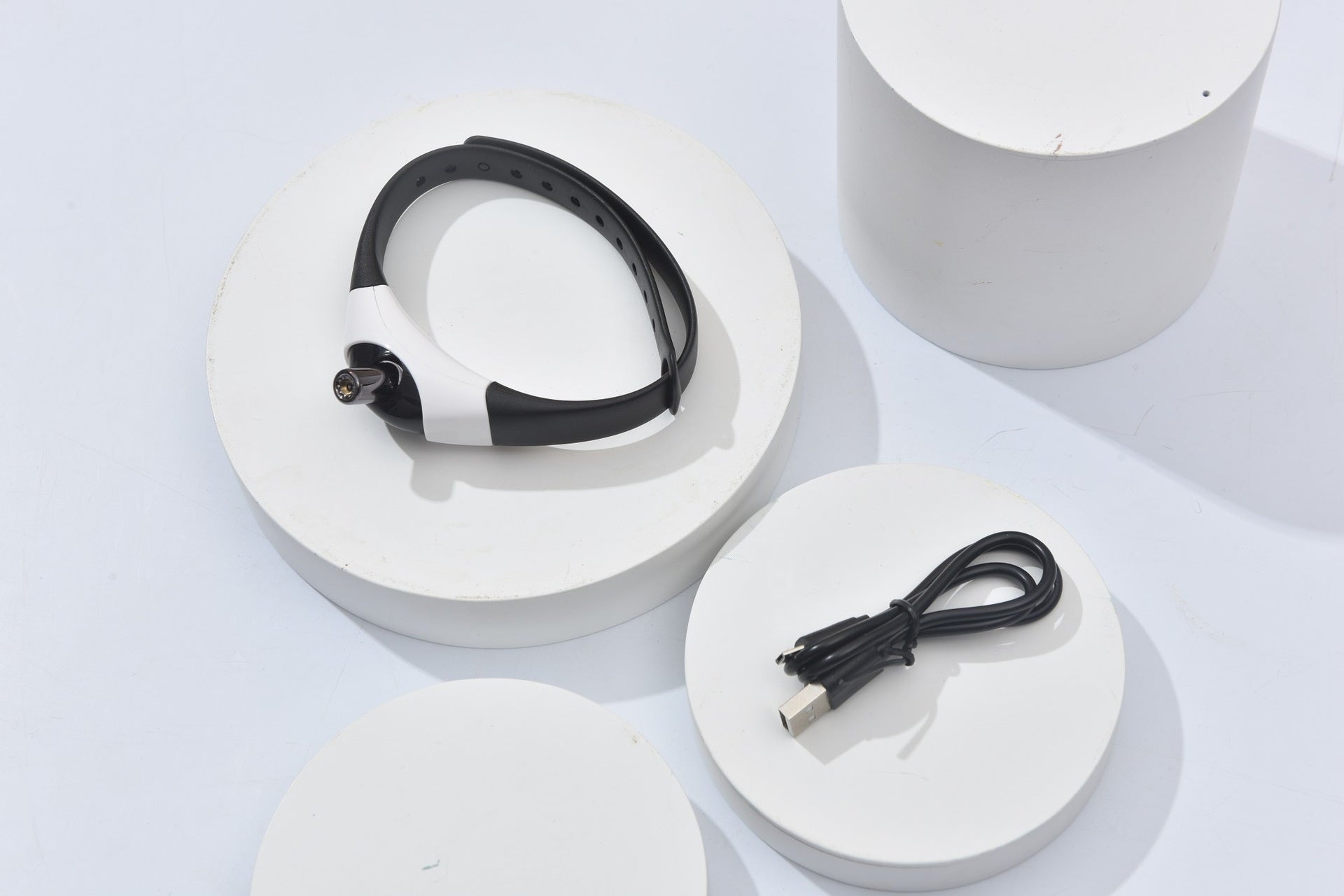 Endless Fun with This Purr-fect Laser Collar!