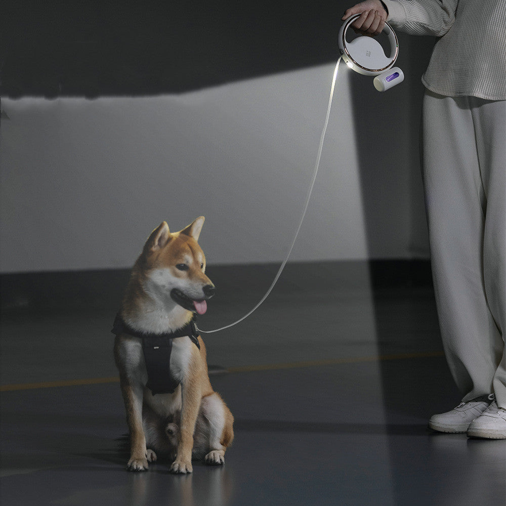 Safety First, Adventure Always: The Illuminating Dog Leash