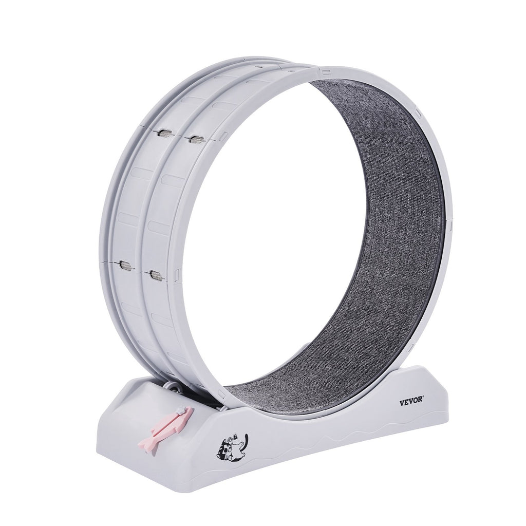 The Ultimate White Cat Exercise Wheel for Energy!