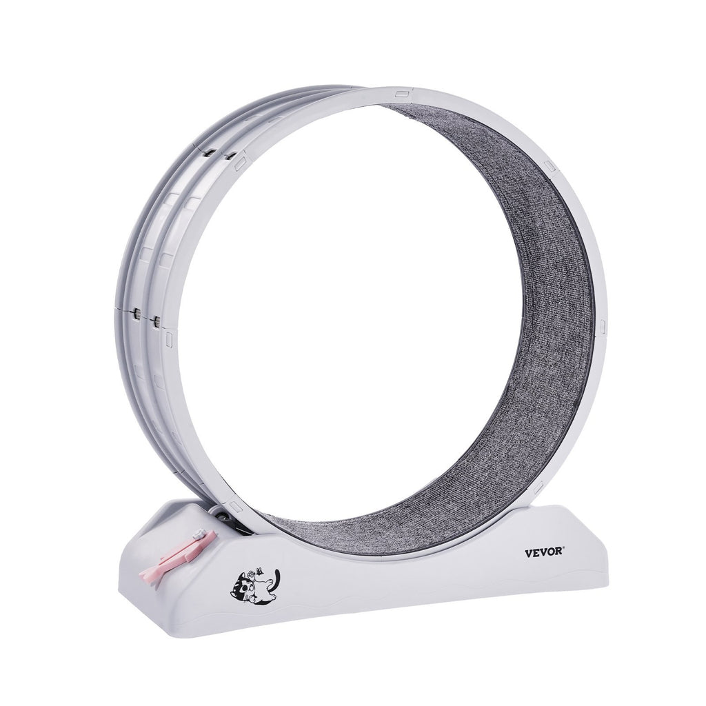 The Ultimate White Cat Exercise Wheel for Energy!
