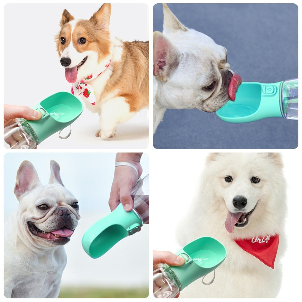 Never Be Without Water On Your Walks Again!